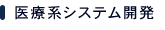 医療系システム開発